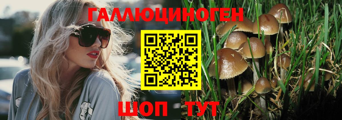 Псилоцибиновые грибы Cubensis Мончегорск