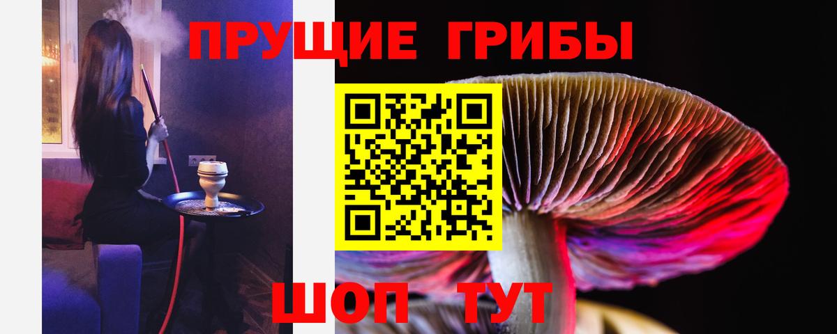 Псилоцибиновые грибы мицелий  Вход с VPN  где купить наркоту  Мончегорск 